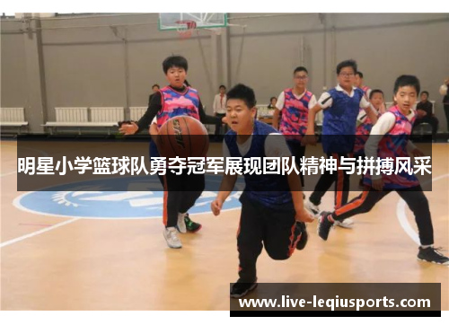 明星小学篮球队勇夺冠军展现团队精神与拼搏风采