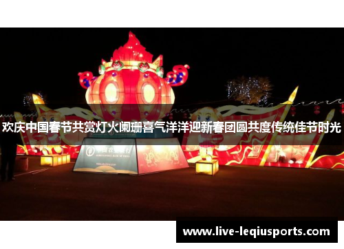 欢庆中国春节共赏灯火阑珊喜气洋洋迎新春团圆共度传统佳节时光