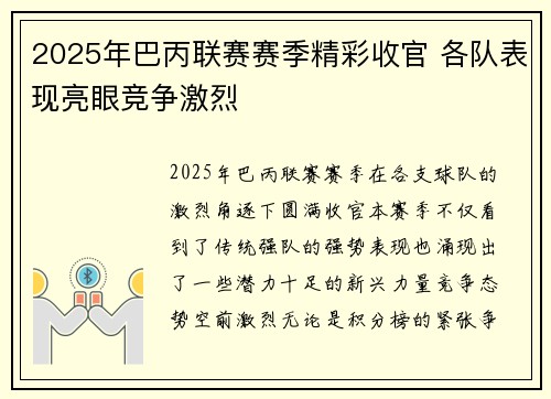 2025年巴丙联赛赛季精彩收官 各队表现亮眼竞争激烈